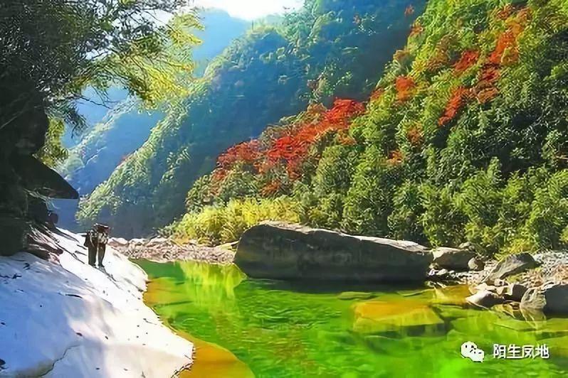 篮球大师